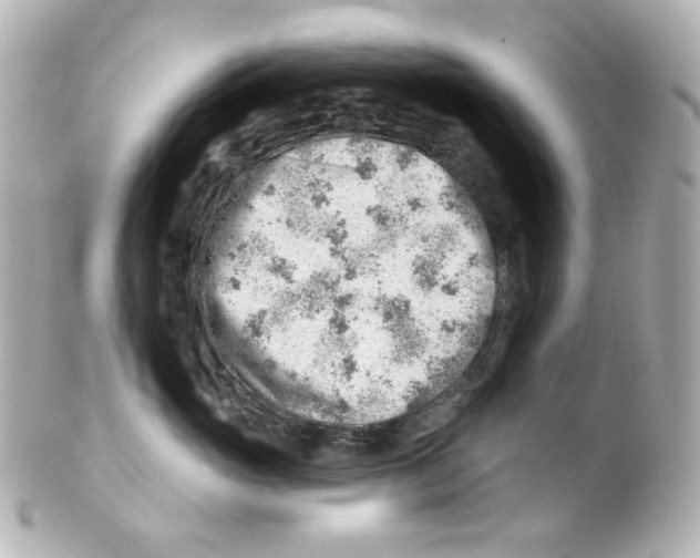 X0000101470765200808041105