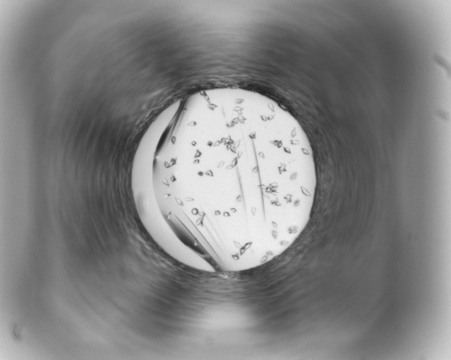 X0000101470768200808041105