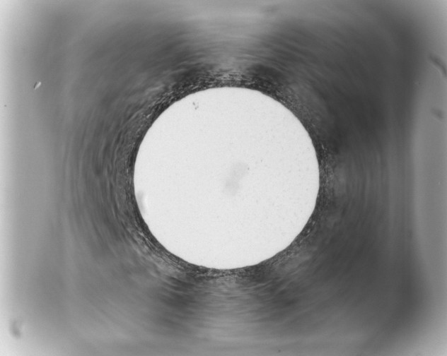 X0000101470769200808041104