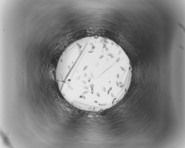 X0000101470770200808041104