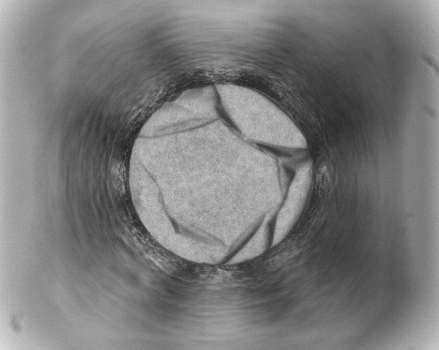 X0000101470772200808041104