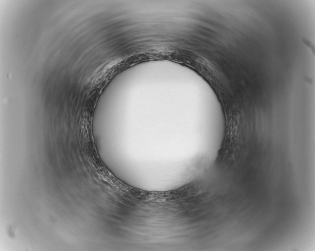 X0000101470773200808041104