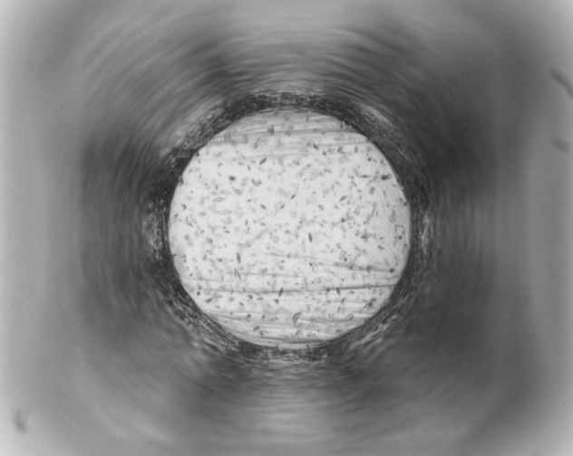 X0000101470774200808041104