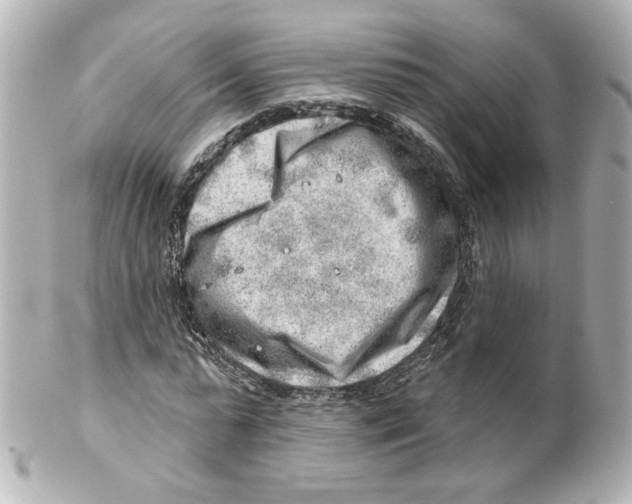 X0000101470775200808041104