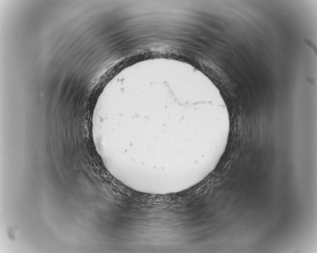 X0000101470776200808041104