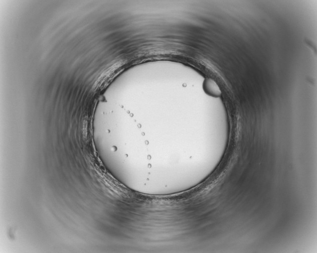 X0000101470777200808041104