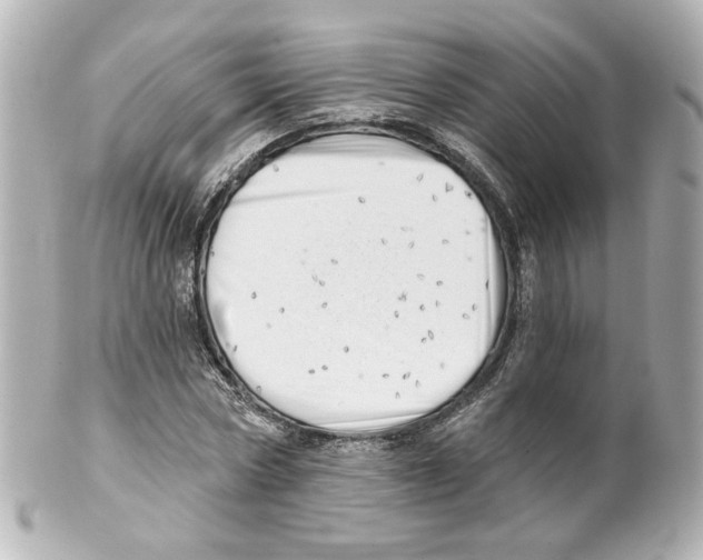 X0000101470778200808041104