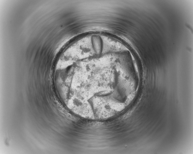 X0000101470783200808041104