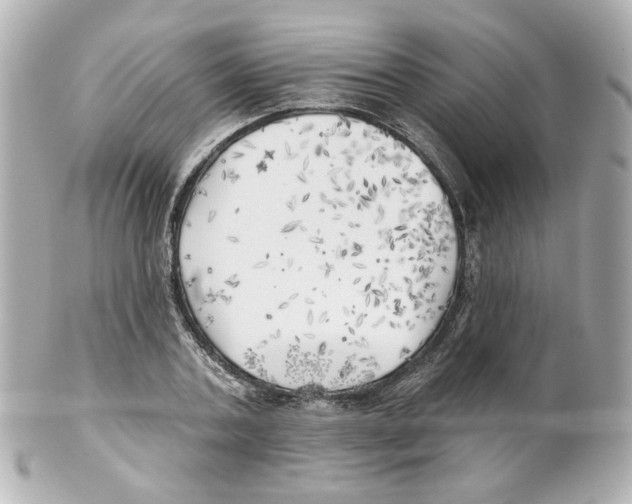 X0000101470787200808041104