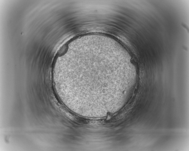 X0000101470790200808041104