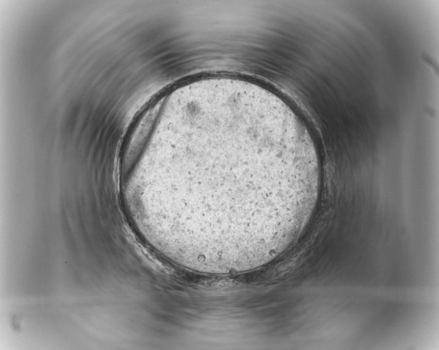 X0000101470791200808041104