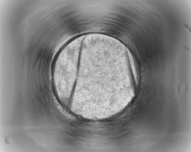 X0000101470792200808041104