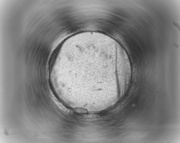 X0000101470795200808041104