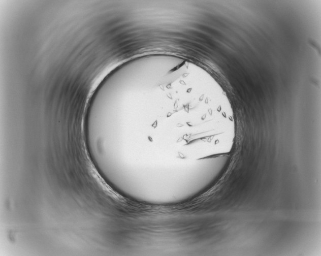 X0000101470796200808041104