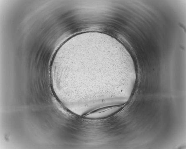 X0000101470800200808041104