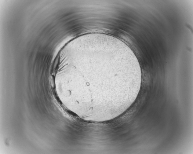 X0000101470804200808041104