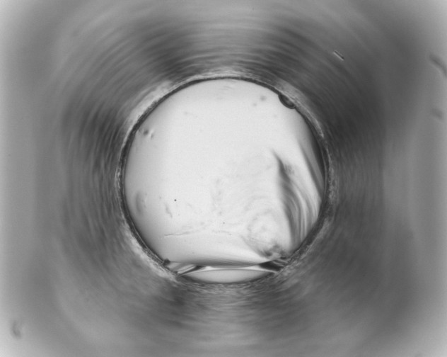 X0000101470805200808041104