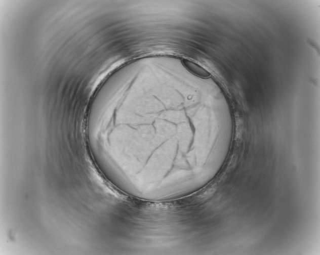 X0000101470806200808041104