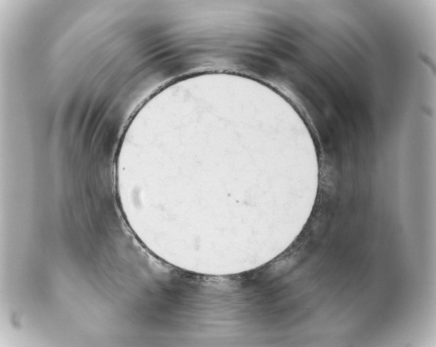 X0000101470807200808041104