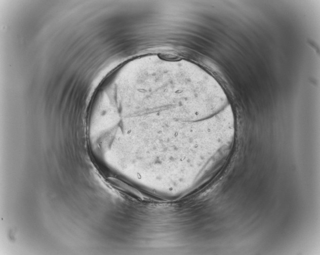 X0000101470808200808041104