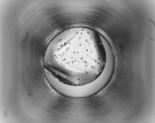 X0000101470809200808041104