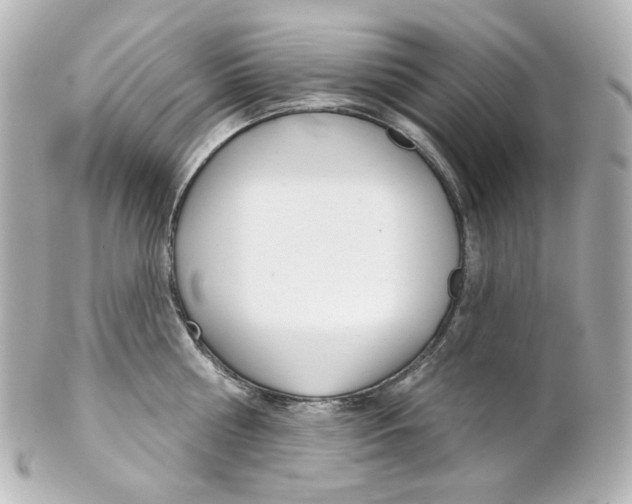 X0000101470810200808041104