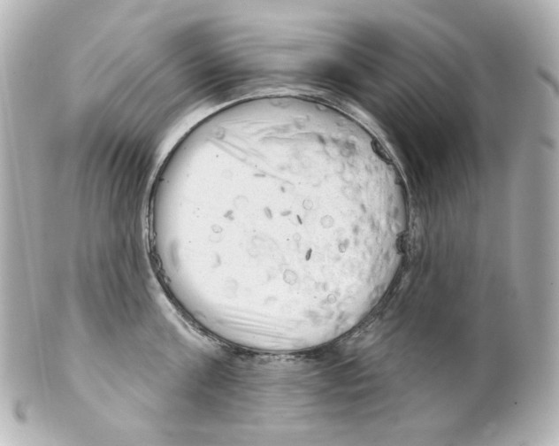 X0000101470811200808041103