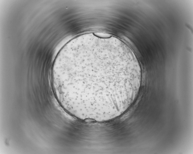 X0000101470812200808041103