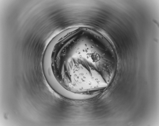 X0000101470813200808041103