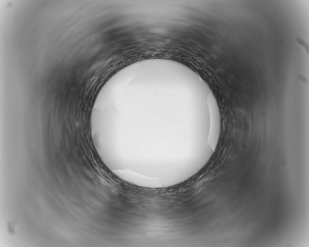 X0000101470820200808041103