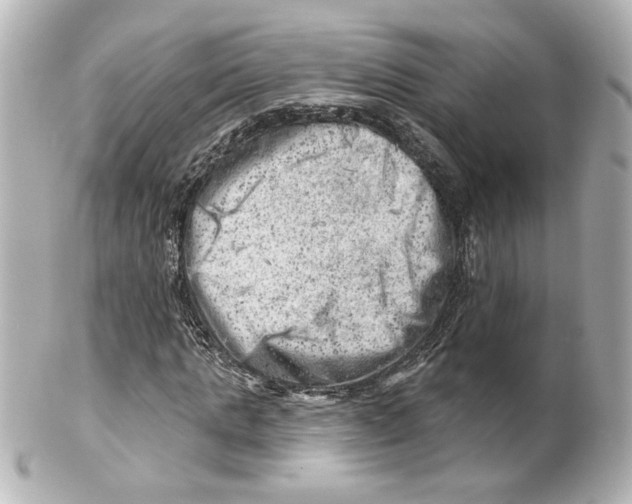 X0000101470821200808041103