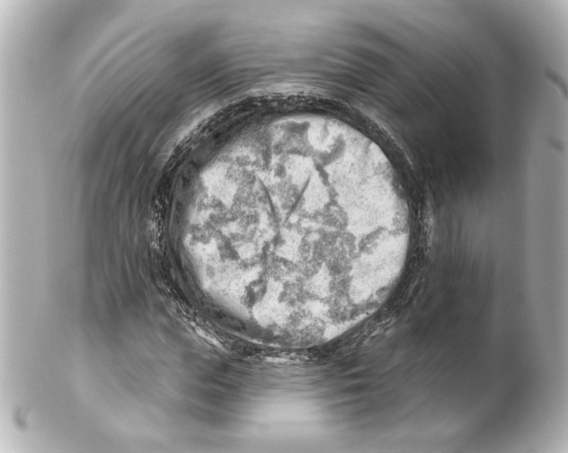 X0000101470823200808041103