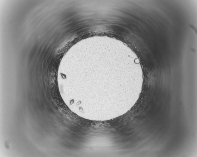 X0000101470824200808041103