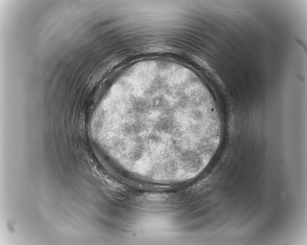 X0000101470825200808041103