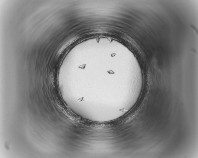 X0000101470826200808041103