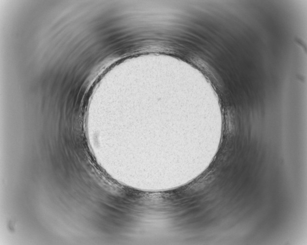 X0000101470828200808041103