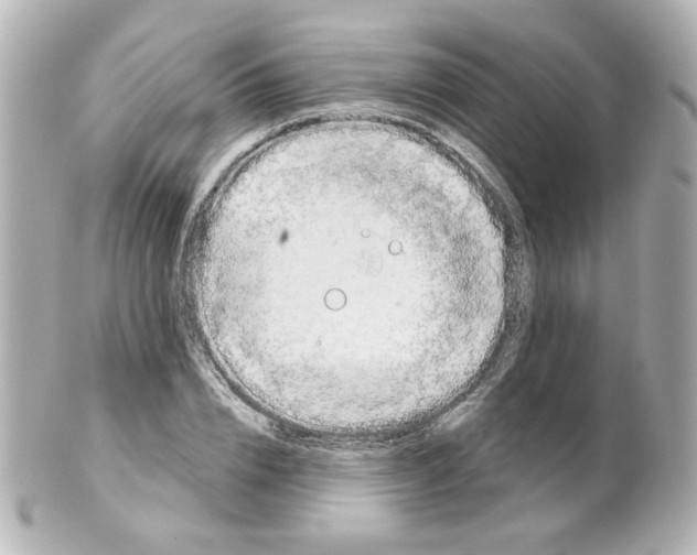 X0000101470832200808041103