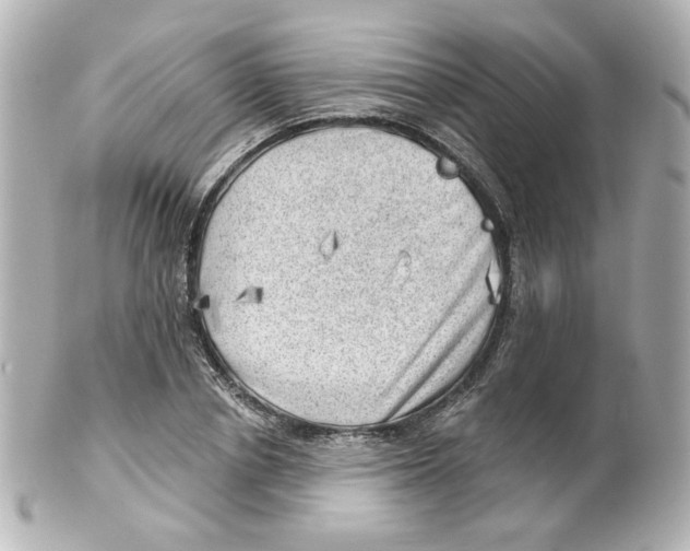 X0000101470834200808041103