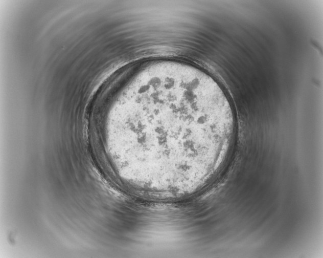 X0000101470835200808041103