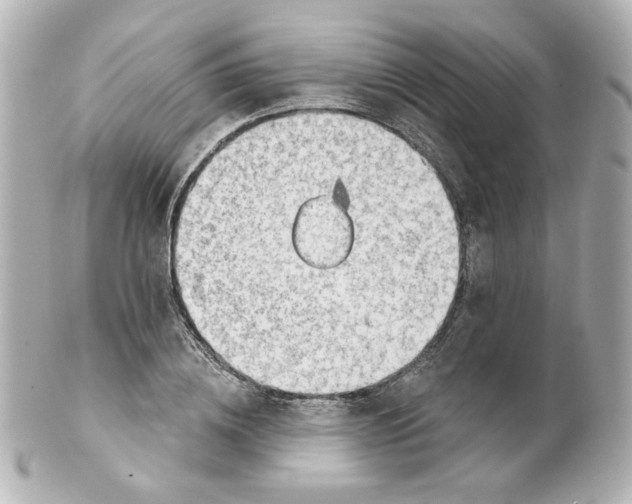 X0000101470836200808041103