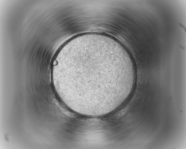 X0000101470838200808041103