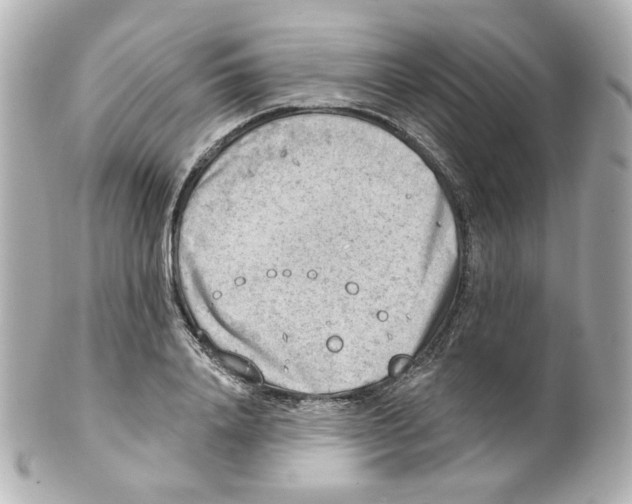 X0000101470840200808041103