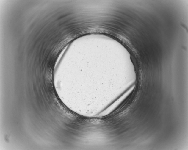 X0000101470841200808041103