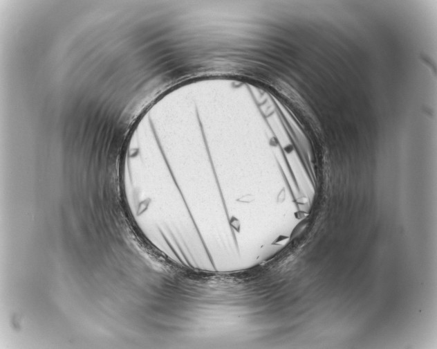 X0000101470842200808041103