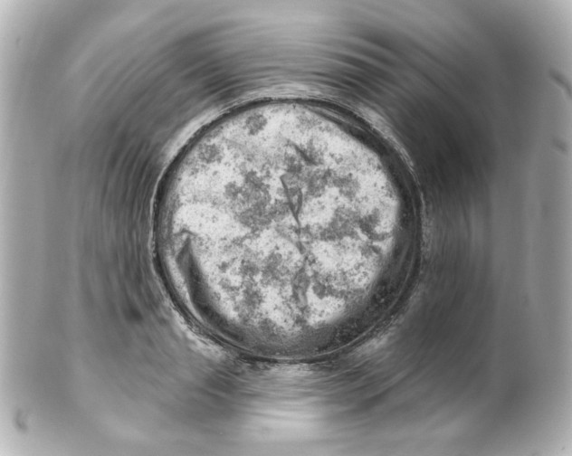 X0000101470845200808041103