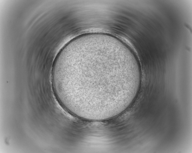 X0000101470847200808041103