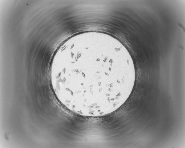 X0000101470848200808041103