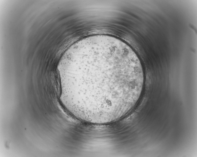 X0000101470849200808041103