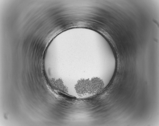 X0000101470850200808041103