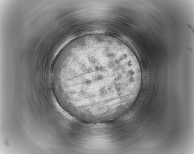 X0000101470851200808041103